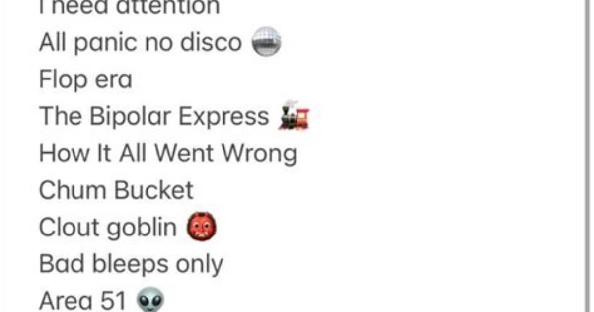 100 Unhinged Hilarious Private Story Names for Bailey That Go