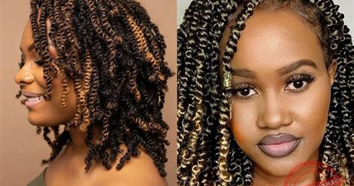 2026 Kinky Twist Visual Lookbook 65 Trendsetting Cuts Parts And