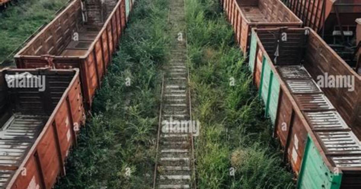 Abandoned Tracks and Empty Patios Aerial Proof of Malibu Grand Prix S