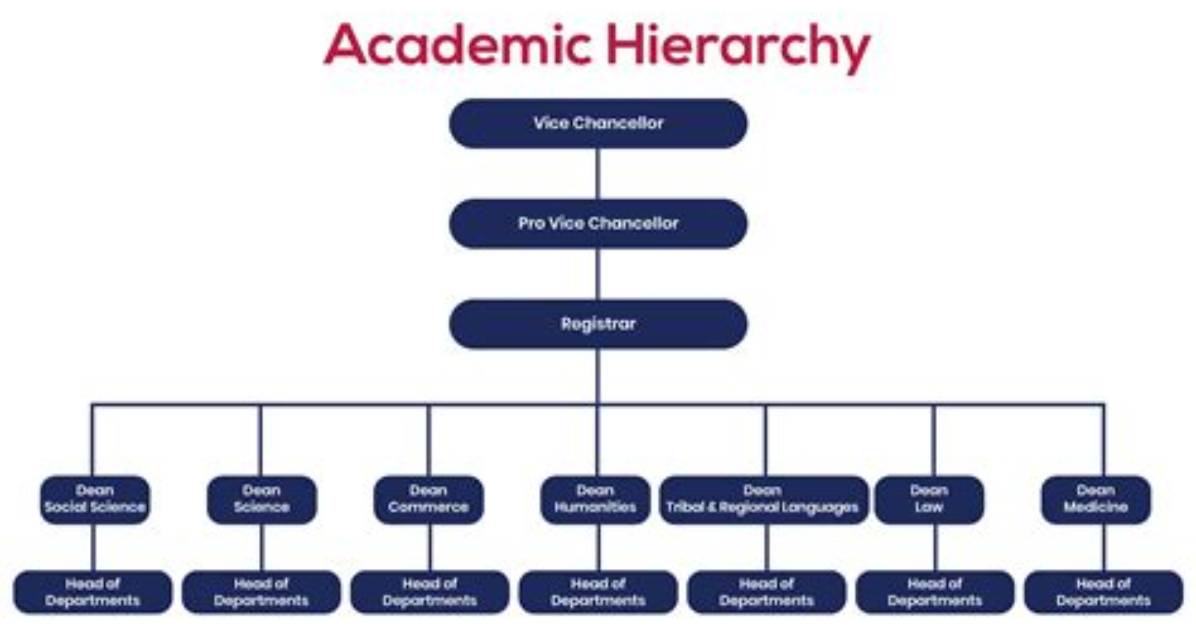 Academic Hierarchy Breakdown Proof of How an Md Fits into Graduate