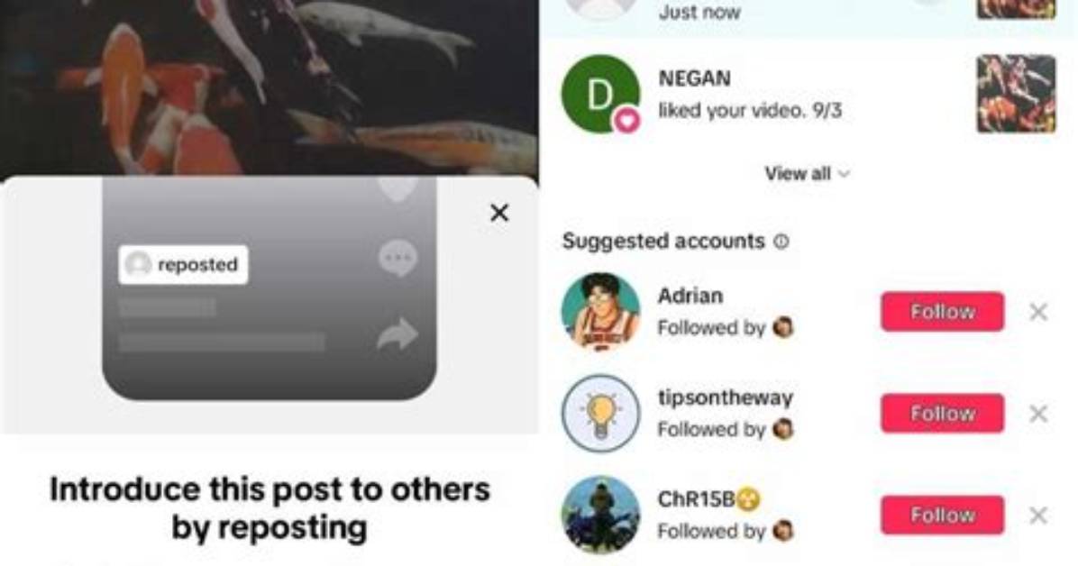 Accidentally Hit Repost on Tiktok How to Undo It in Under 5