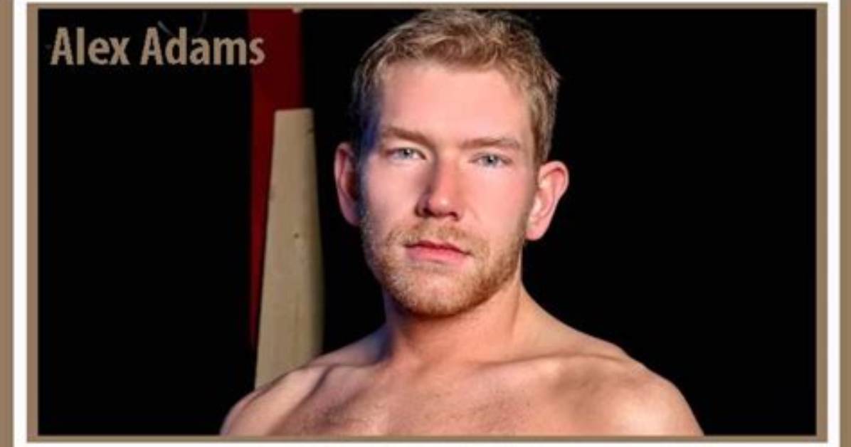 Alex Adams Bio Height and Size the Complete Q a And