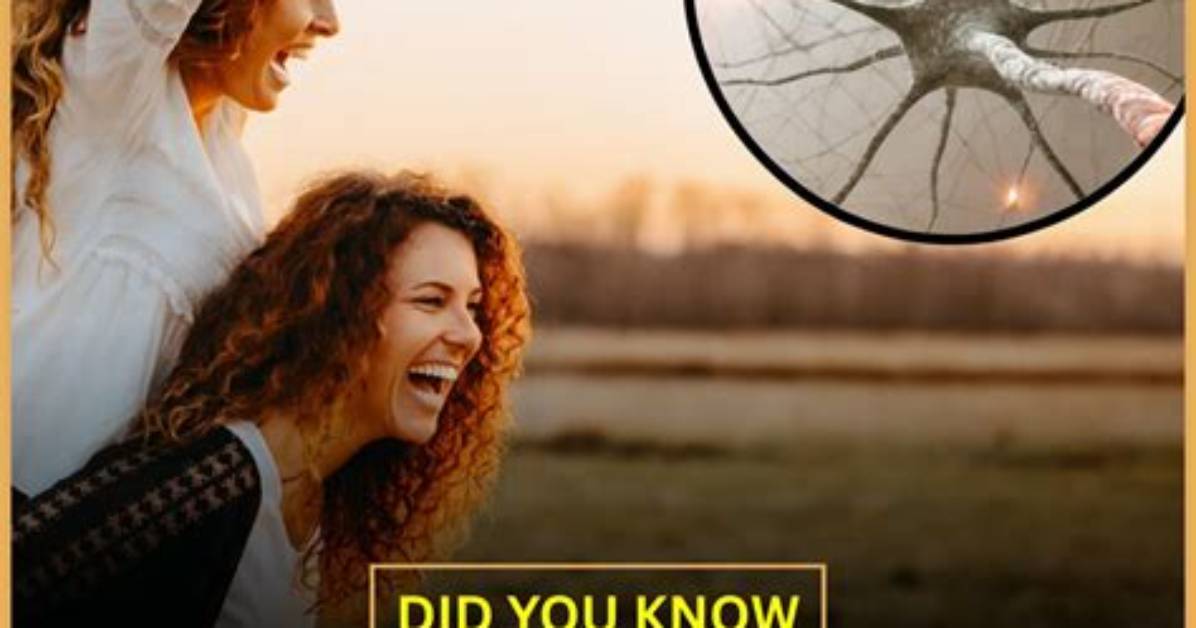 Anatomy Fact Check Can Workouts Change a Low Crack Bum into A