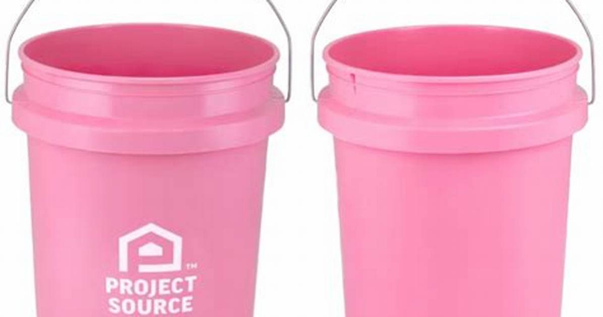 Are Lowe S 2 Mini Pink Buckets Worth the Hunt Stock