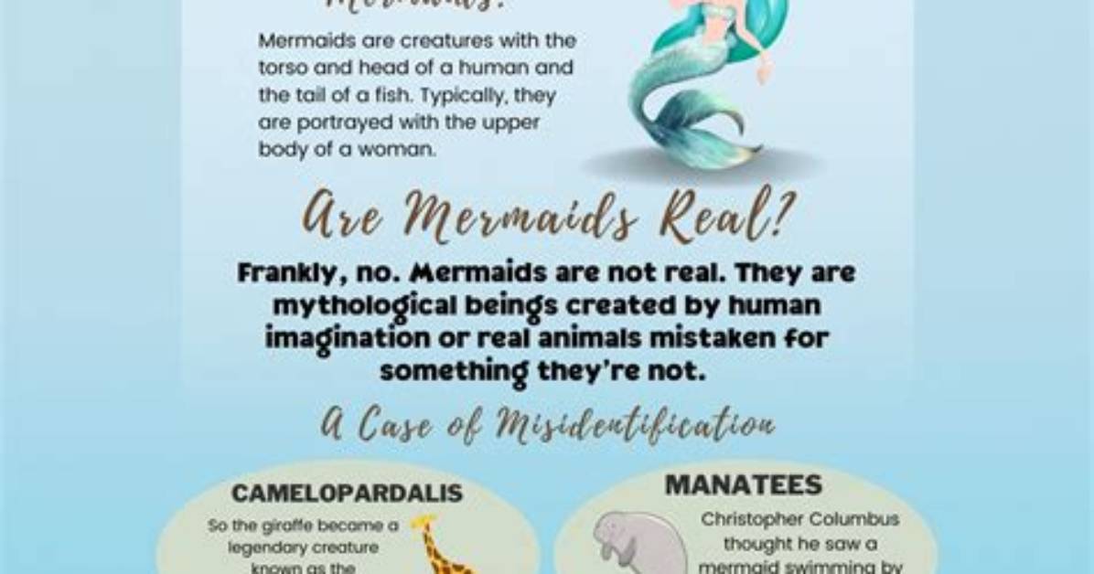 Are Mermaids Real the Definitive Guide to Science Myth And