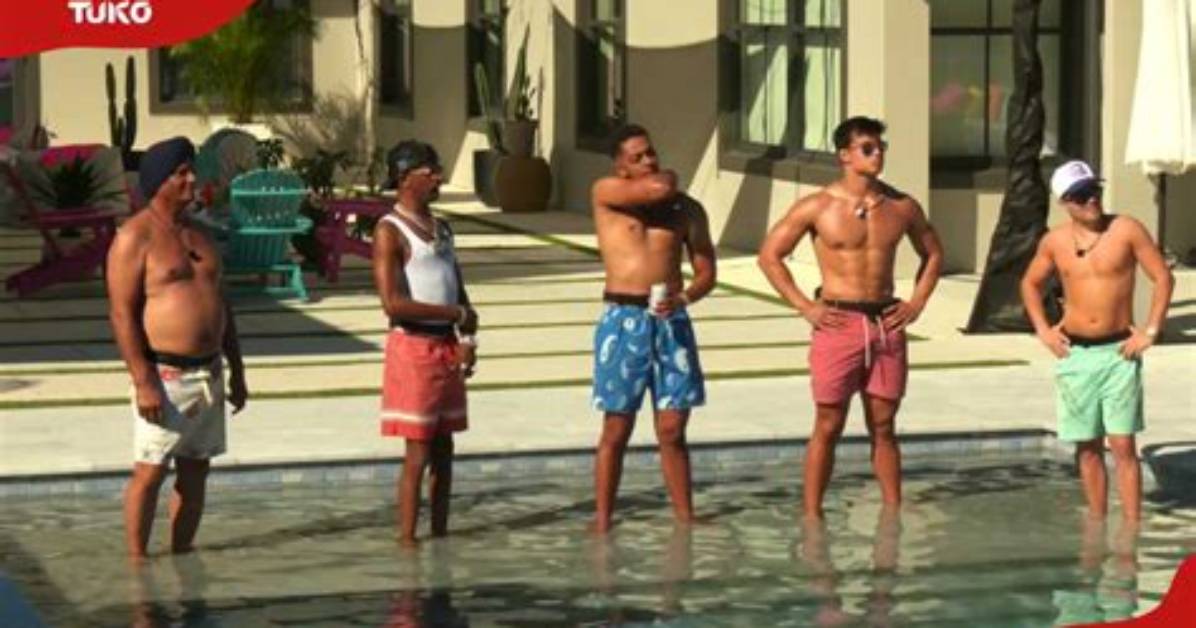 Are the Nelk Boys Crashing Love Island the Truth Behind the Viral