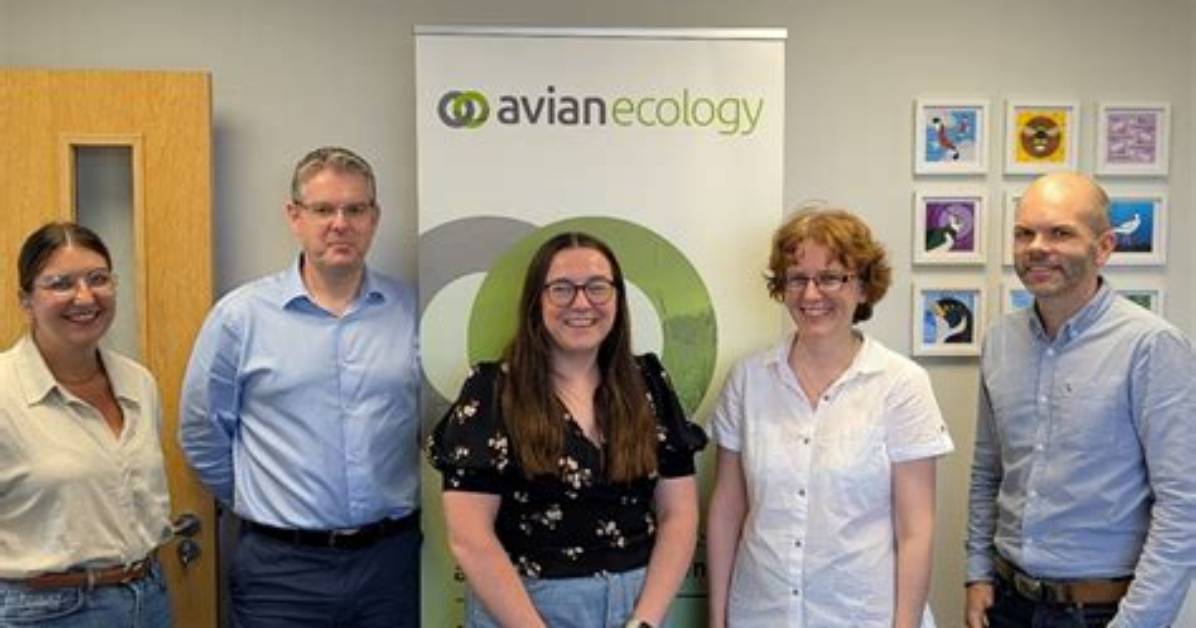 Avian Giants in Focus How New Ecology Reports Are Reshaping Big