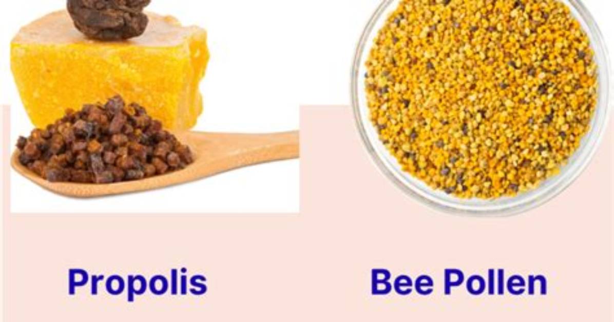Bee Pollen vs Plastic Surgery Fact Checking Tiktok S Viral Breast