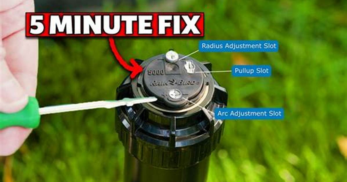 Before and After Sprinkler Head Adjustments Step by Step Fixes for Uneven