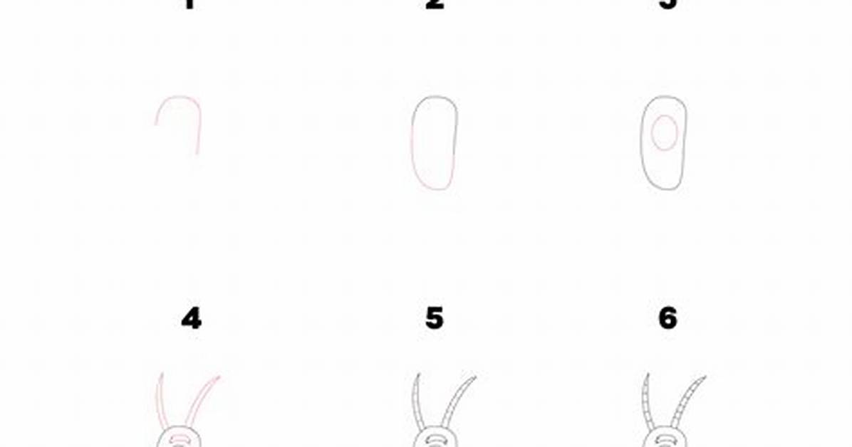 Beginner Plankton Art Guide Frequently