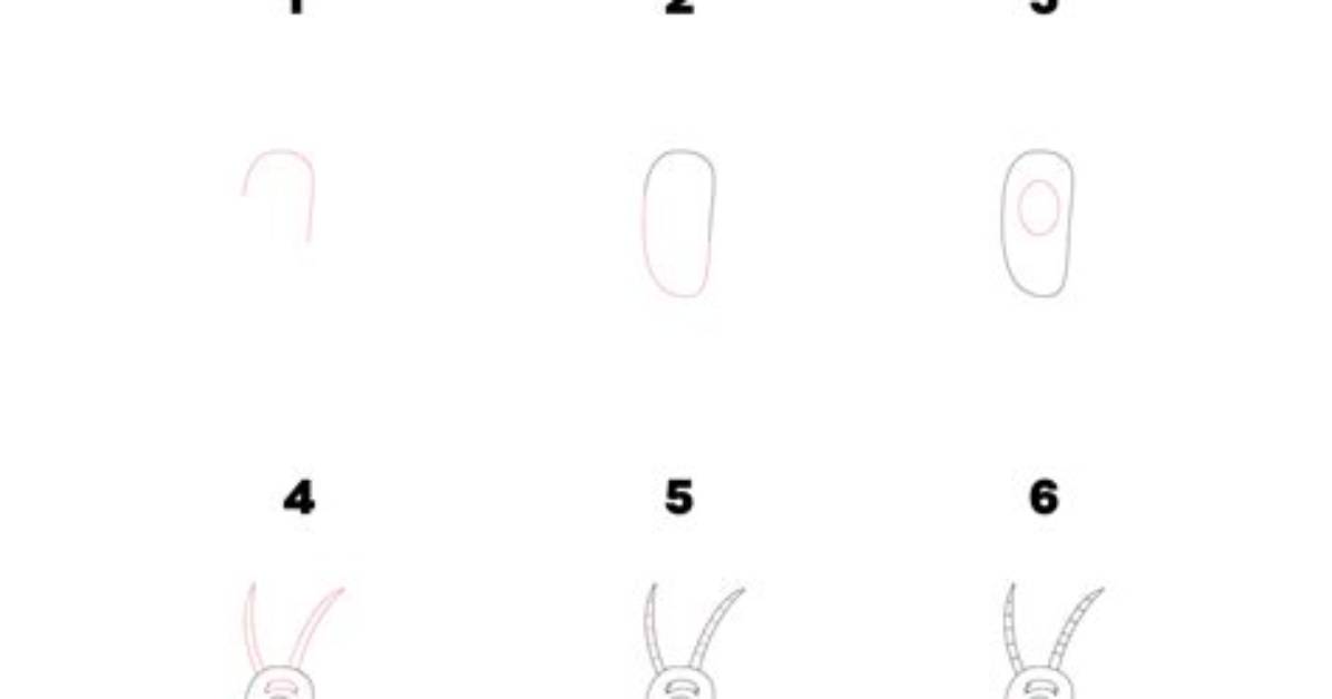 Beginner Plankton Art