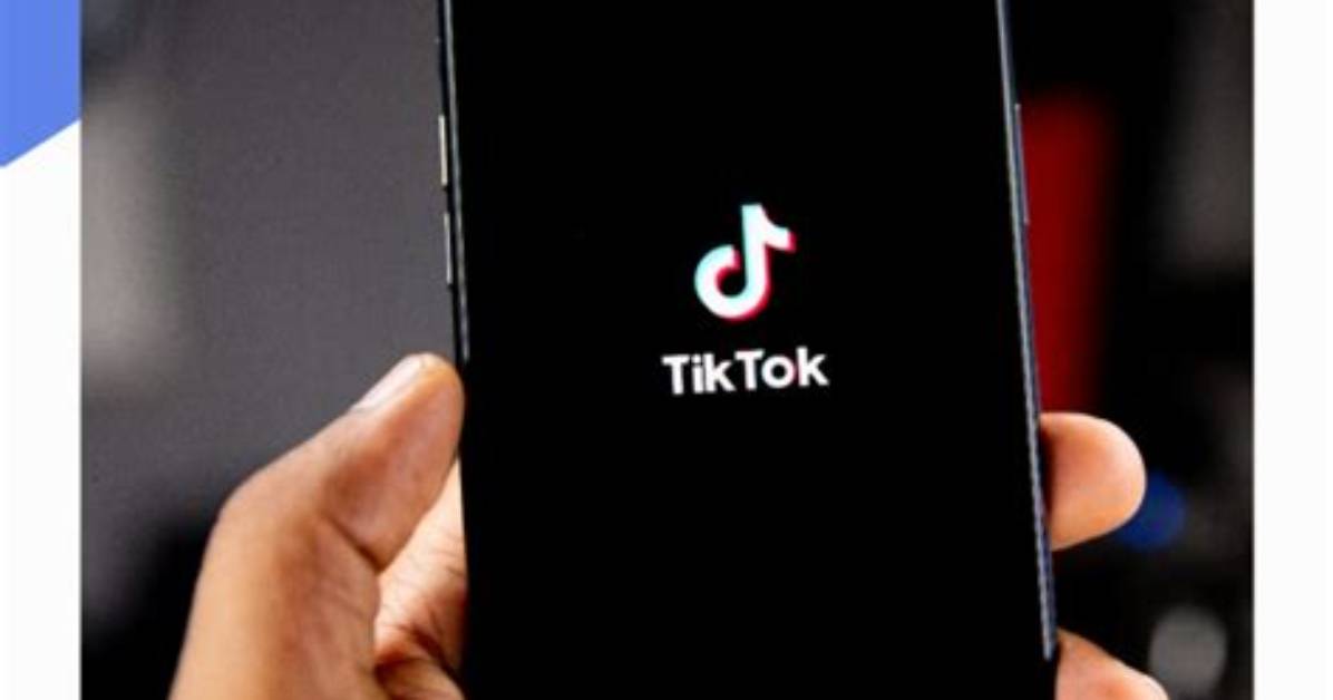 Beginner S Guide Everything Tiktok Didn T Tell You About Where