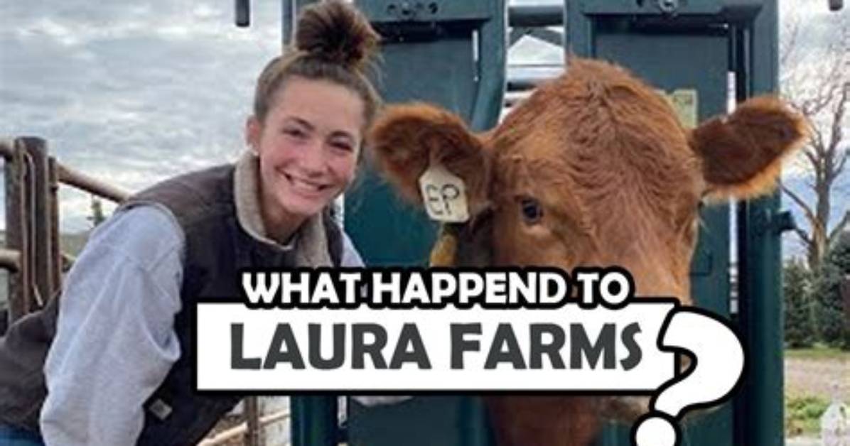Behind the Lens at Laura Farms the Real Machinery and Field Footage