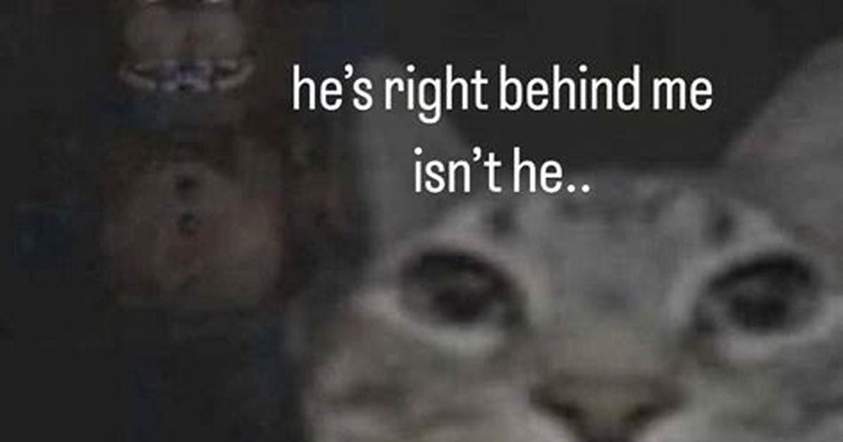 Behind the Meme The
