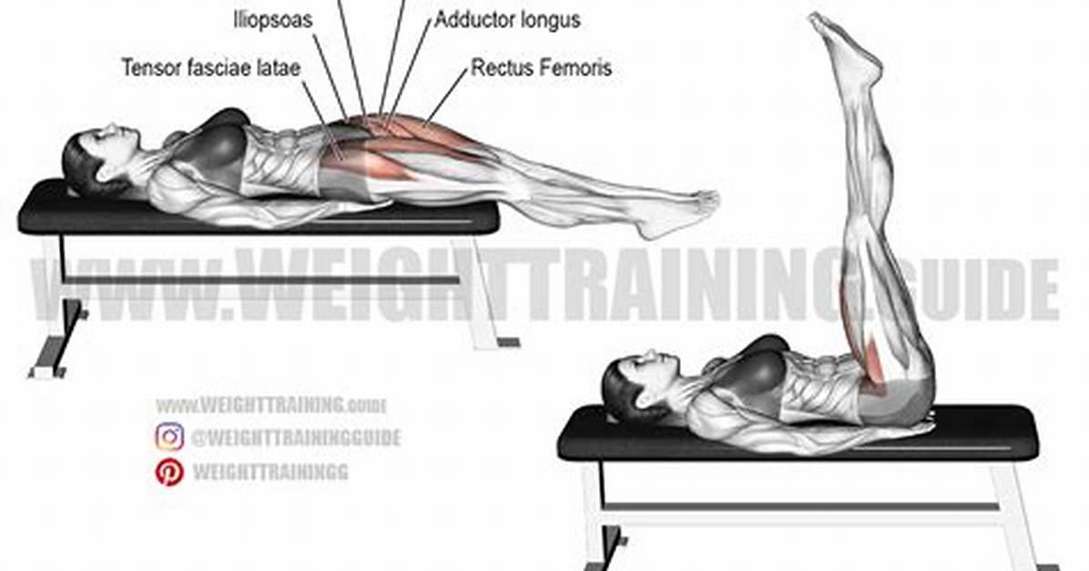 Bench vs Floor Leg Raises Emg Muscle Activation Data Reveals the Real
