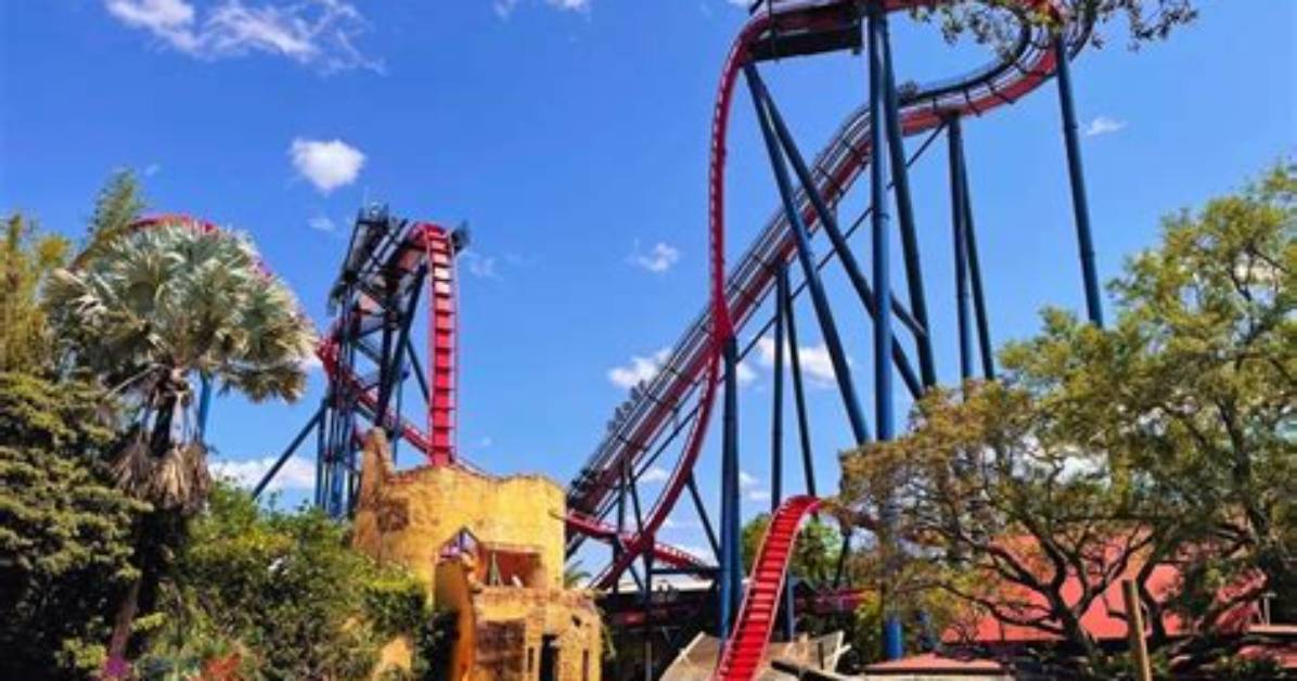 Best Busch Gardens Roller Coasters Ranked What to Ride After