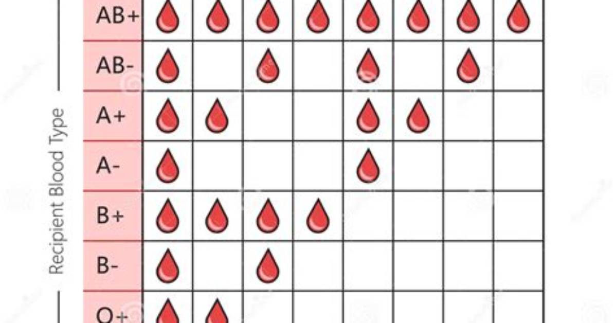 Blood Type Compatibility Matrix Visual Guide to Universal Donors Vs