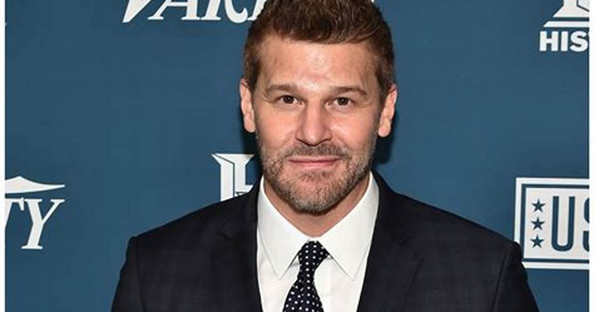Breaking Down David Boreanaz S Real Net Worth Tv Salaries Royalties And