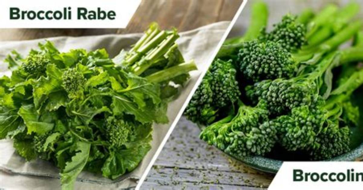 Broccoli Rabe Is Not Actually Broccoli the Botanical Twist Every Home Cook Needs To