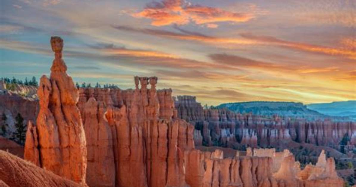 Bryce