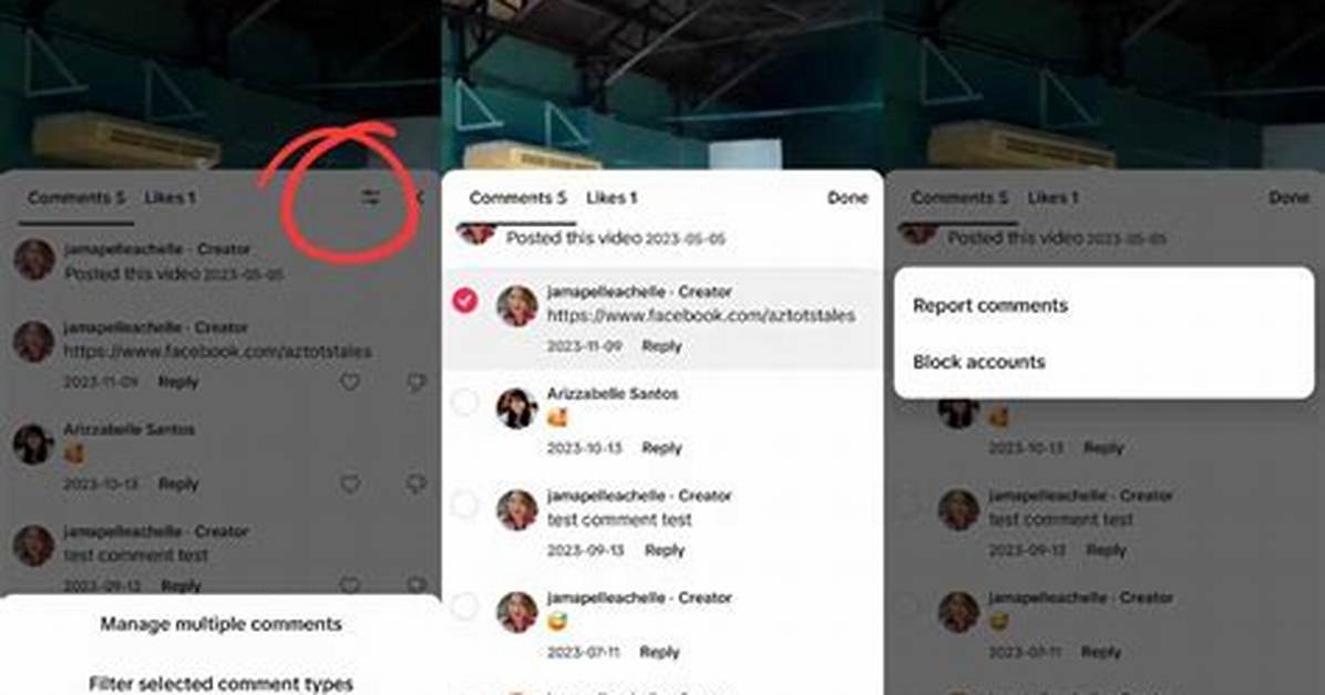 Can Everyone Post Pictures in Tiktok Comments Fact Checking The