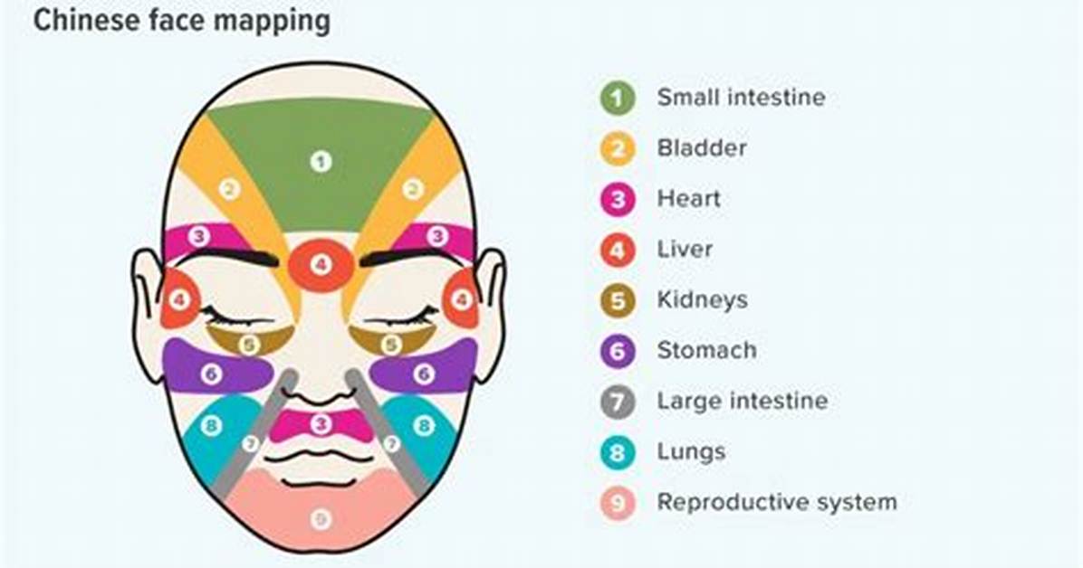 Can Face Mapping