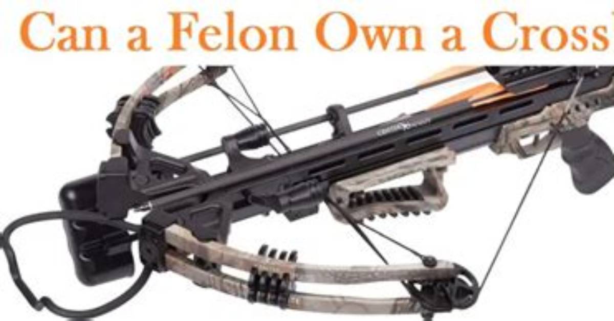 Can Felons Own Crossbows the Complete State by State Legal And