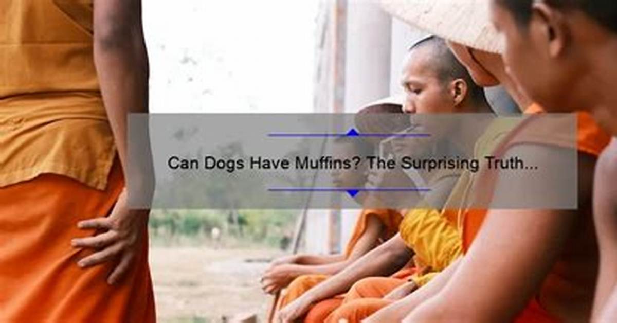 Can Missionaries Have Dogs the Surprising Field Realities and Viral