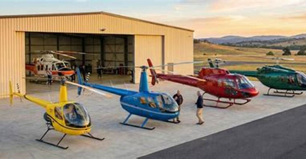 Can You Actually Fly Helicopters in Sons of the Forest the Truth Behind The