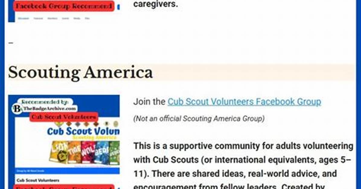 Can You Sue Scouting Organizations Inside the Wave of Severe Camp