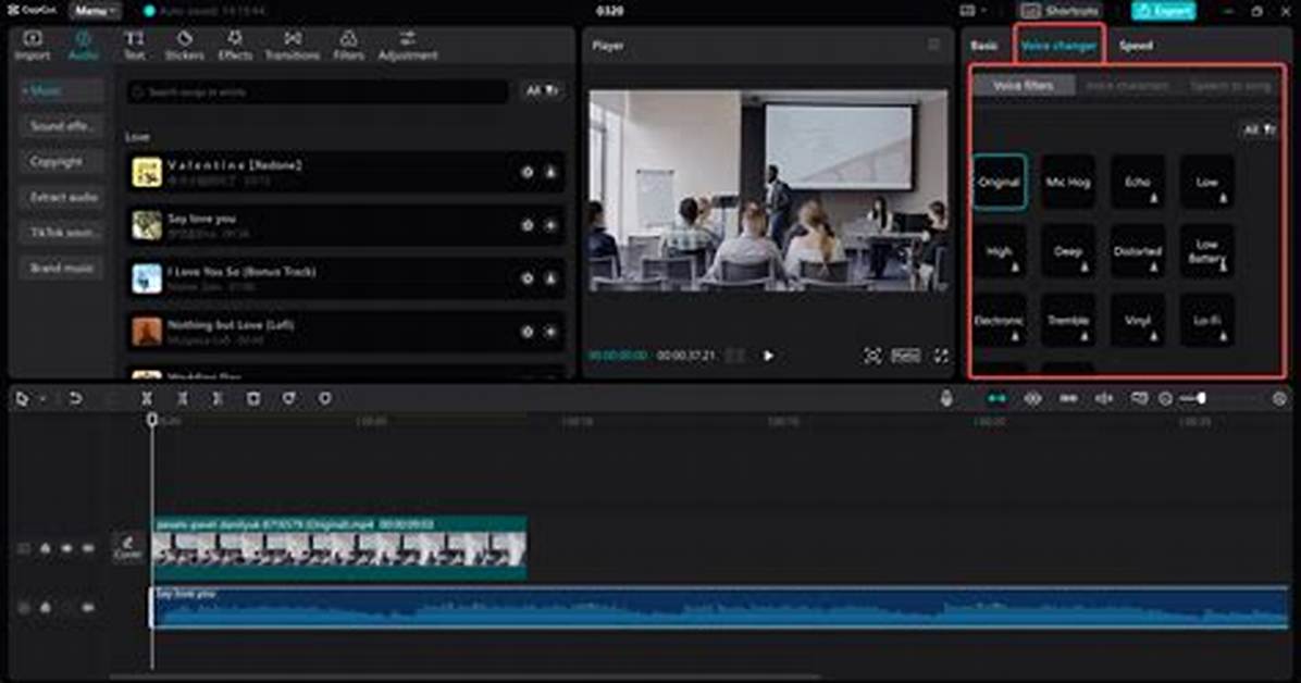 Capcut Audio Update New