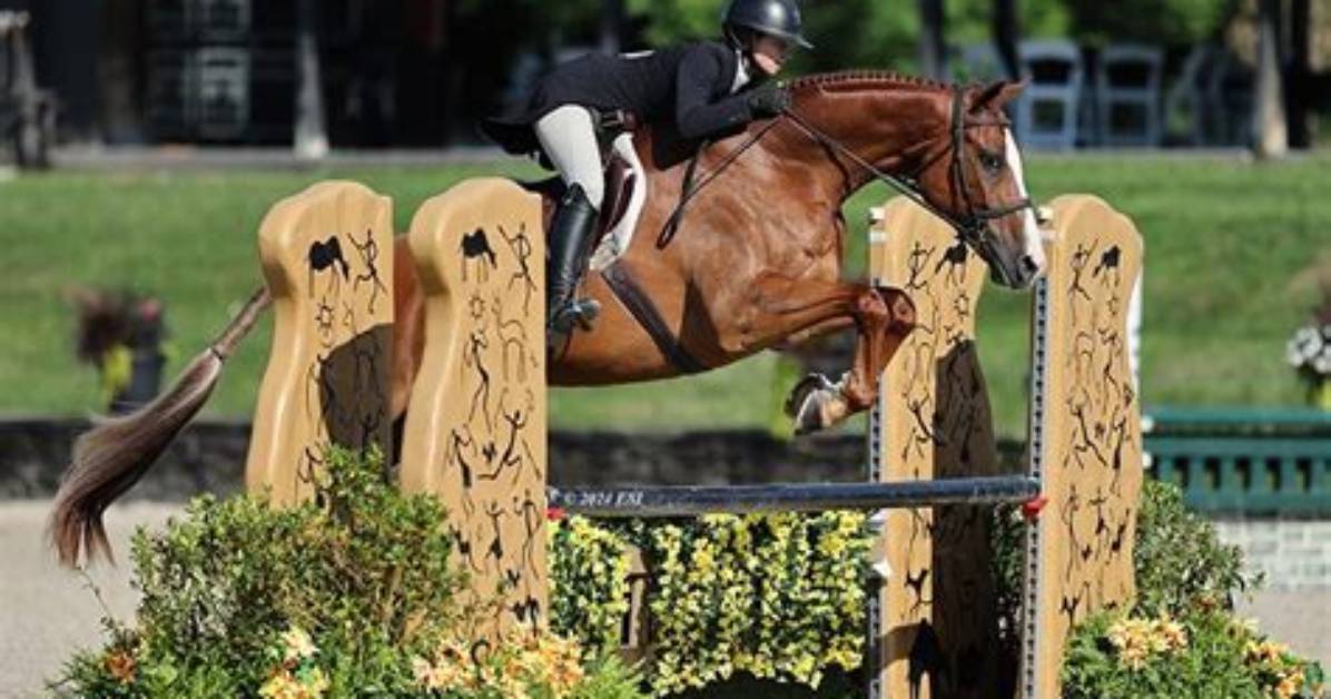 Century Mill Stables Fact Check History Permitting And