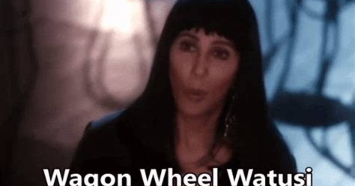 Cher's 'Wagon Wheel Watusi' Scene Explained: Where to Stream the Cult Classic Right Now