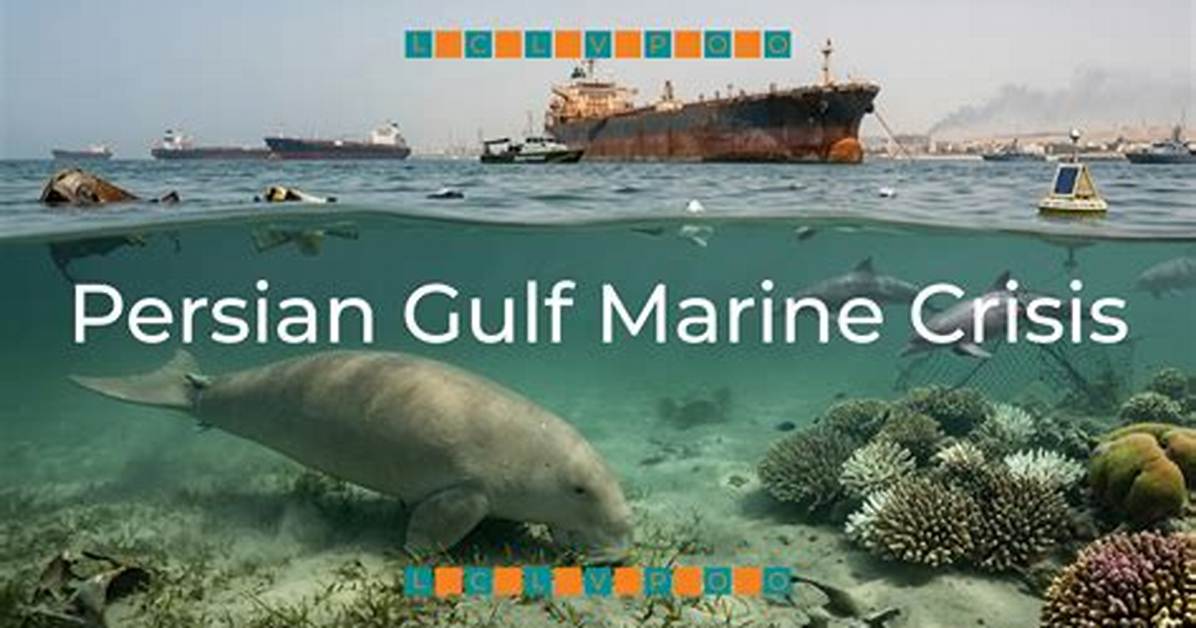 Chronicle of a Crisis How Gulf of Aden Maritime Piracy Rebounded over 12