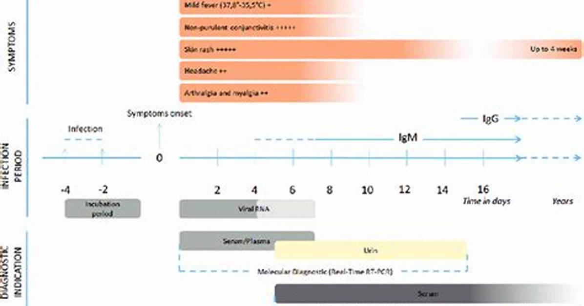 Chronology of a Viral Wave How Bbc Made Unconventional