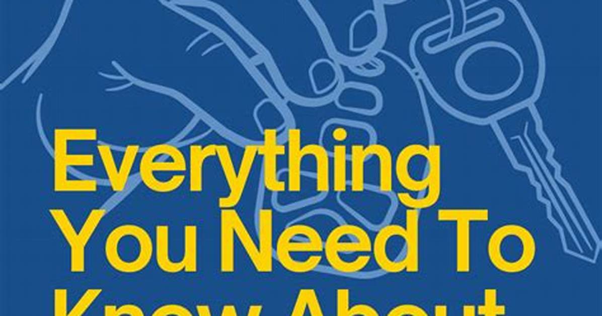 Clothing and Consent Everything to Know About the Latin American