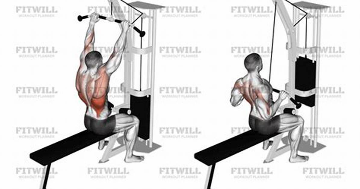 Complete Jalon Al Pecho Guide How to Execute Grip Variations And