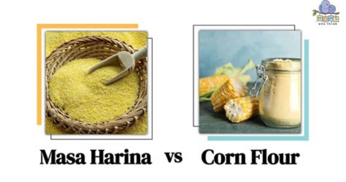 Corn Husk vs Masa Visual Proof of How to Eat