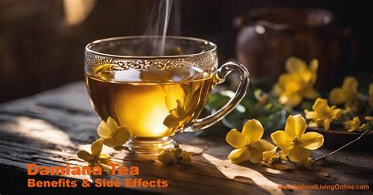 Damiana Tea Explained Complete Guide to Benefits Brewing And