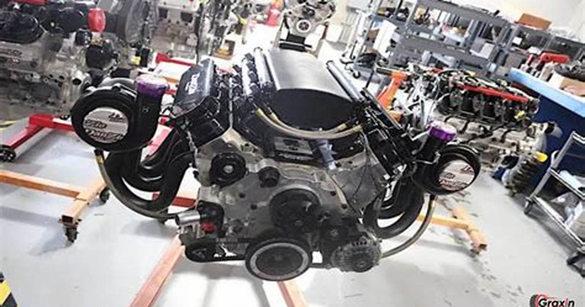 Danzi Engine Scat Fact