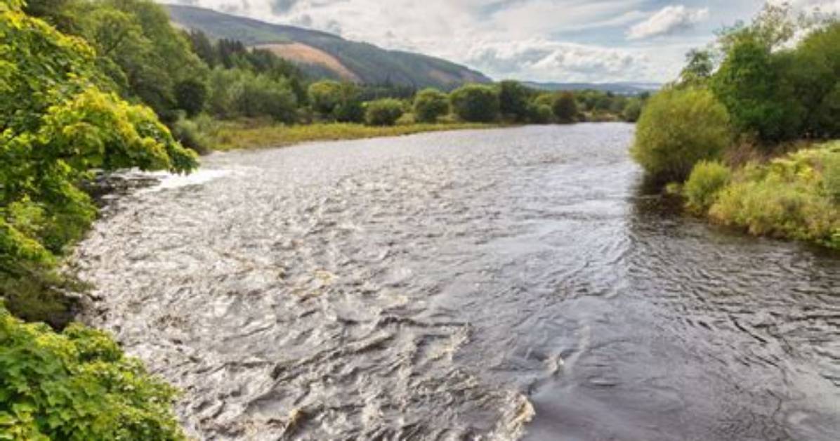 Deadly Waterways Investigating the River Spey Pollution Crisis And
