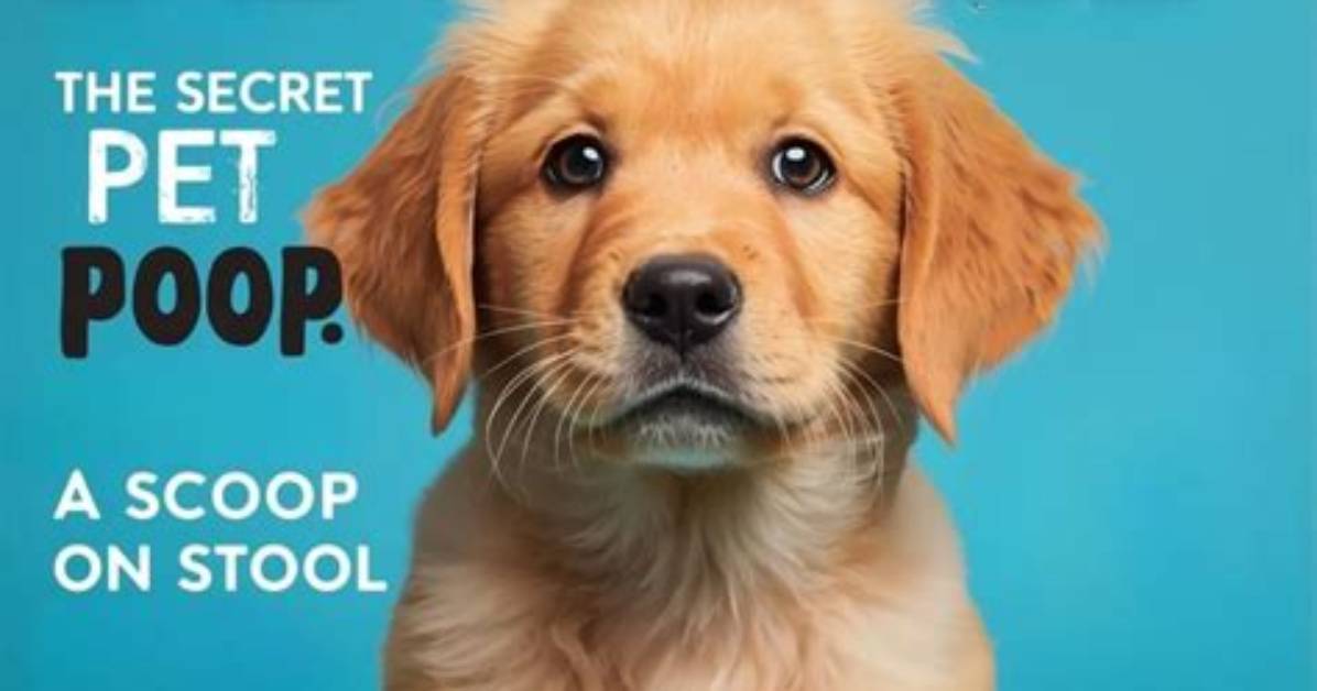 Decoded Every Confirmed Moniker and Pet Name Tied To