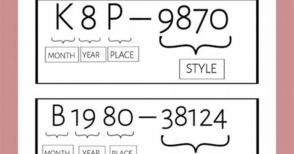 Decoding Coach Serial Numbers How to Read the Story Patch And