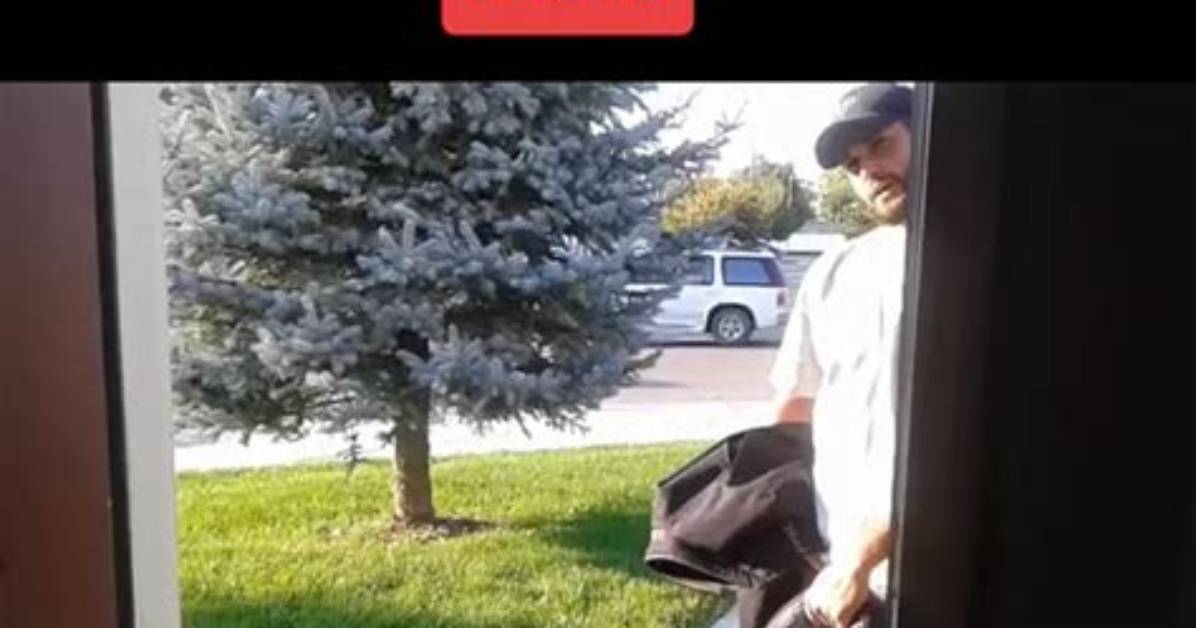 Did Uncle Bob Really Get Caught Cheating Separating Tiktok Fact