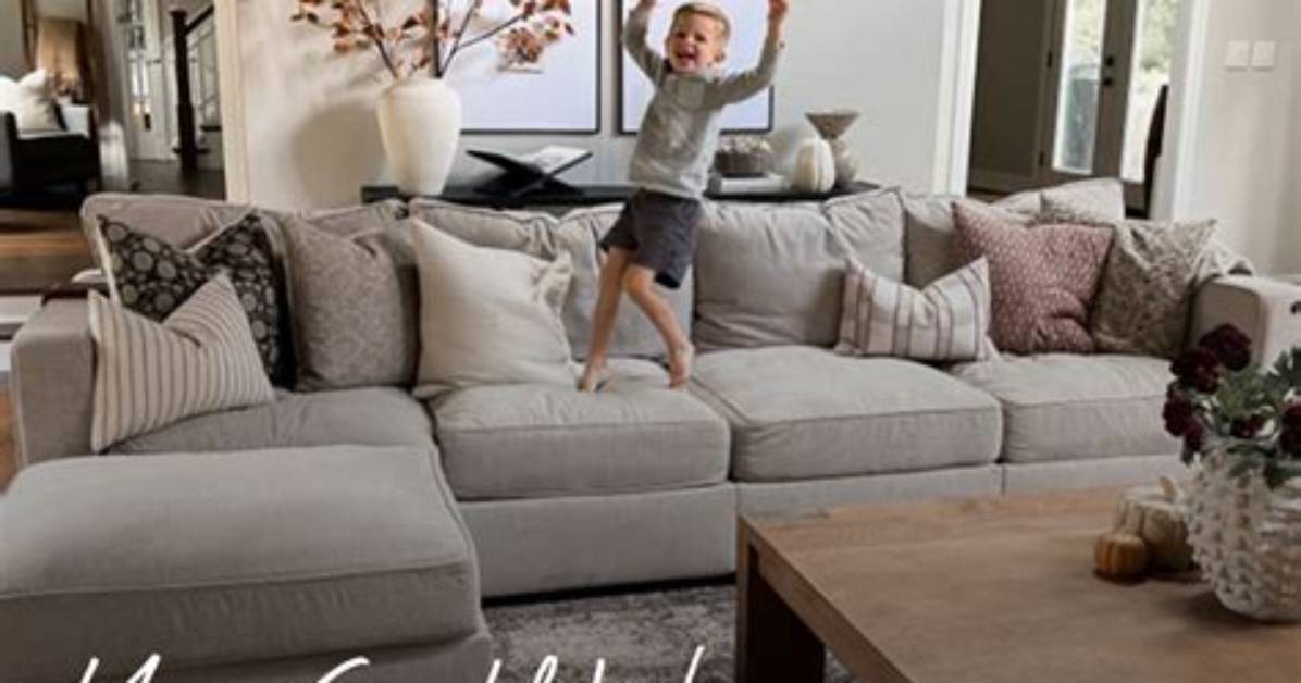 Did You Ruin Your Lovesac the Costly Dryer Mistake Most
