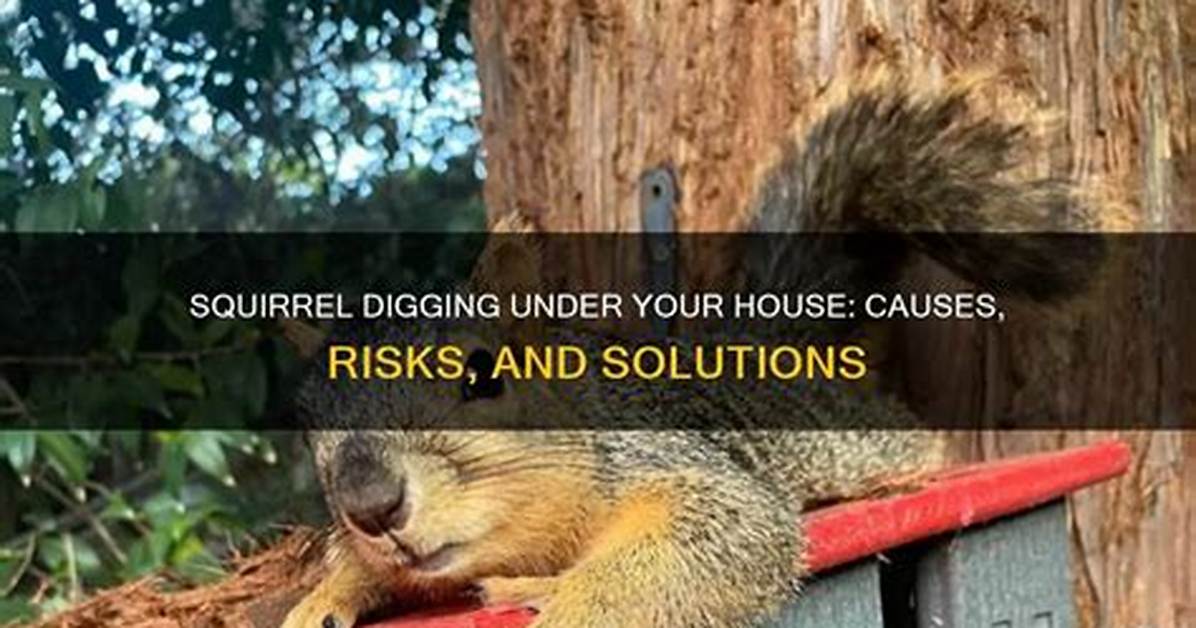 Digging Under Your Home the Hidden Risks and Skyrocketing Costs Of