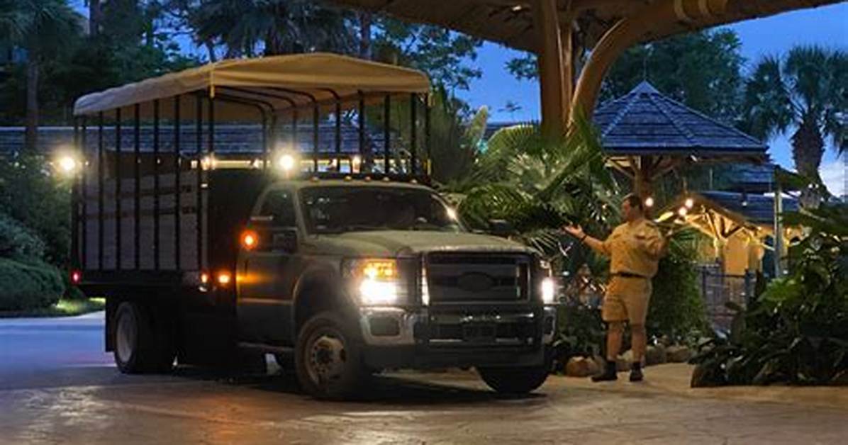 Disney Starlight Safari Complete Guide Booking Dress Code and Top