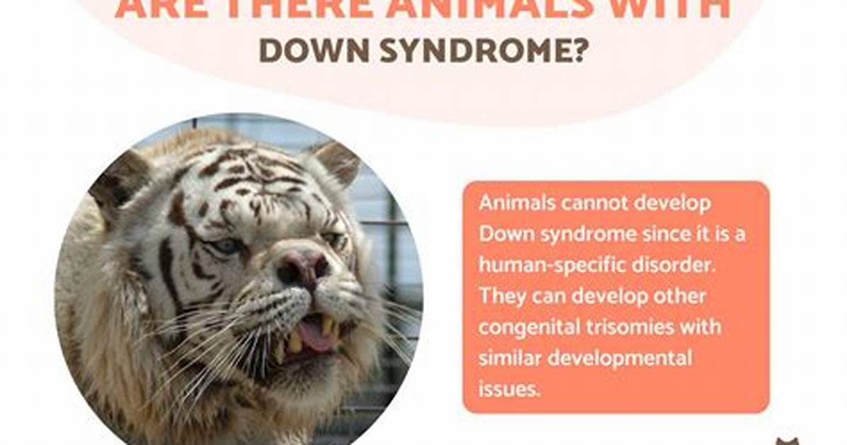 Do Animals Get Down Syndrome Genetic Realities of Donkeys And