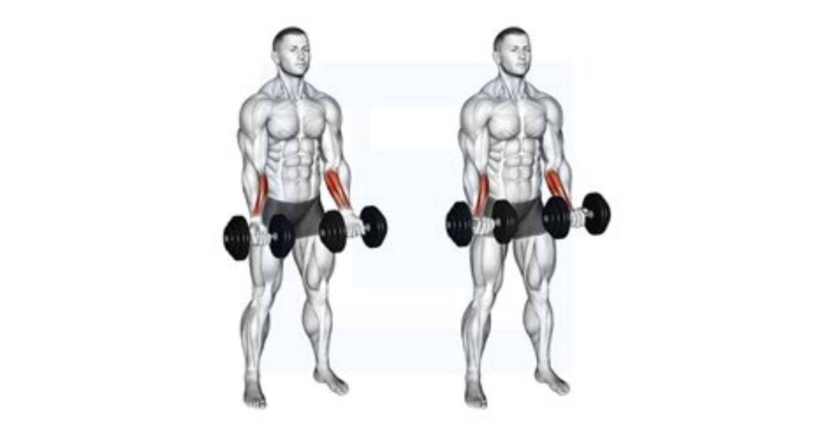 Do Dumbbell Wrist Curls Cause Carpal Tunnel and Joint Pain Fact Vs