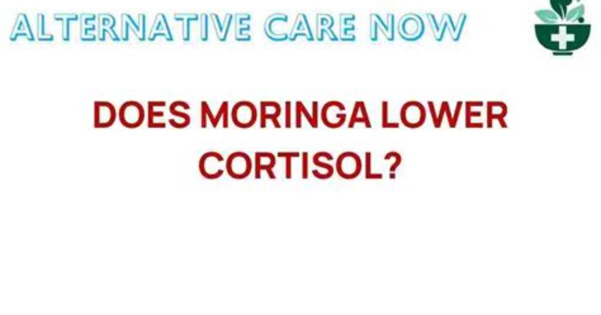 Does Moringa Really Lower Cortisol the Hidden Truth Behind The